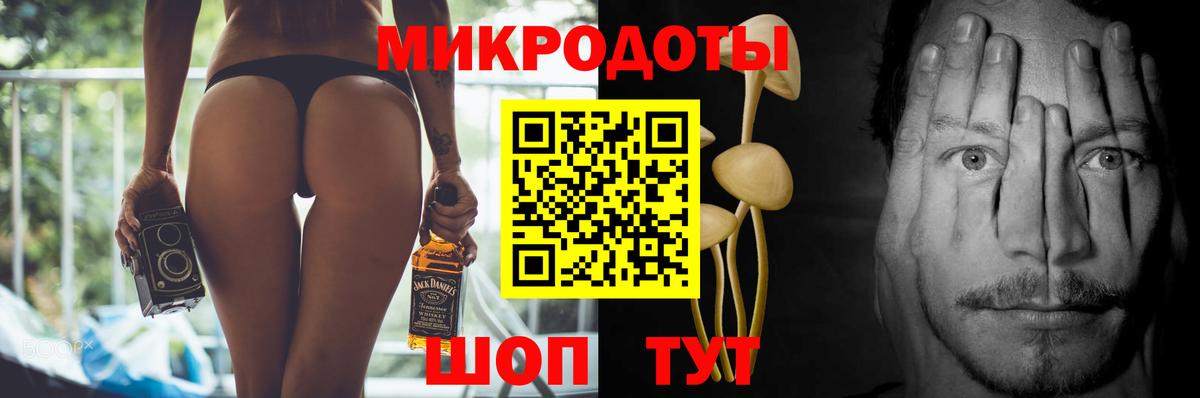 Псилоцибиновые грибы Psilocybe Канаш